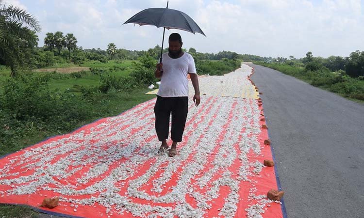 মাছের আঁশের ব্যবসায় সফল মাহবুব